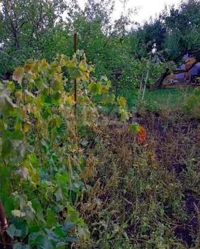 Дом 40м², 2-этажный, участок 6 сот.