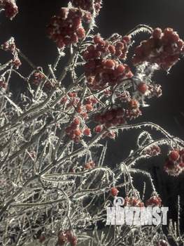 Дом 52м², 2-этажный, участок 6 сот.