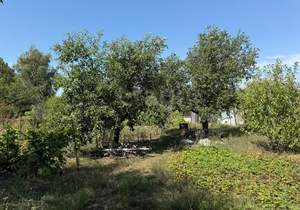 Дом 43м², 2-этажный, участок 15 сот.