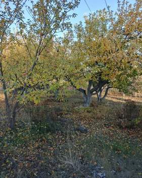 Дом 88м², 2-этажный, участок 11 сот.