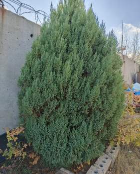 Дом 88м², 2-этажный, участок 11 сот.