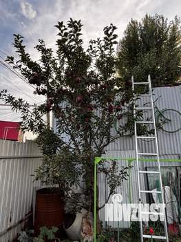 Дом 59м², 1-этажный, участок 4 сот.