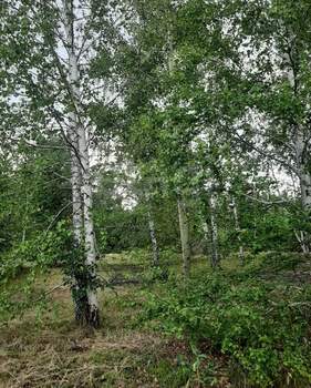 Дом 27м², 2-этажный, участок 16 сот.