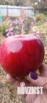 Дом 10м², 2-этажный, участок 10 сот.