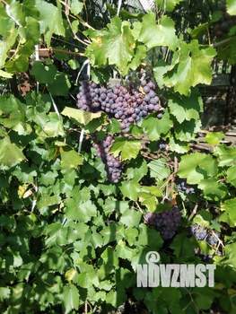 Дом 20м², 1-этажный, участок 8 сот.