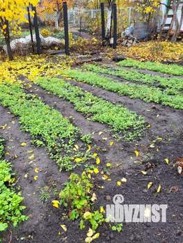 Дом 16м², 1-этажный, участок 3 сот.