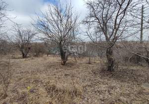 Дом 39м², 1-этажный, участок 11 сот.