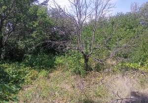 Дом 12м², 2-этажный, участок 7 сот.