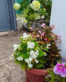 Дом 50м², 2-этажный, участок 4 сот.