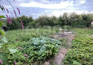 Дом 18м², 2-этажный, участок 6 сот.