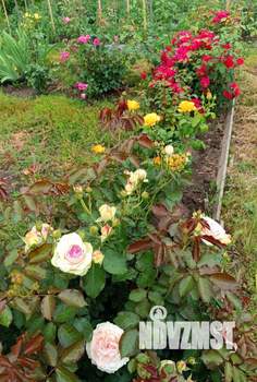 Дом 33м², 2-этажный, участок 6 сот.