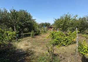 Дом 43м², 2-этажный, участок 15 сот.