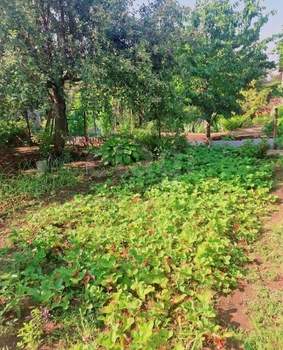 Дача 72м², 2-этажный, участок 4 сот.