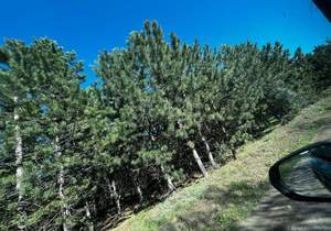 Дом 30м², 2-этажный, участок 6 сот.