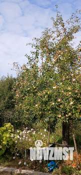 Дом 10м², 2-этажный, участок 10 сот.