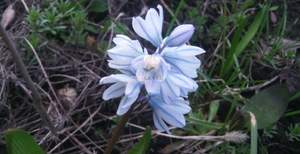 Дом 30м², 1-этажный, участок 6 сот.