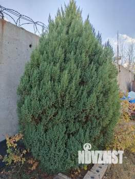 Дом 88м², 2-этажный, участок 11 сот.