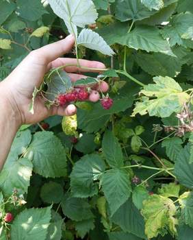 Дом 70м², 1-этажный, участок 6 сот.