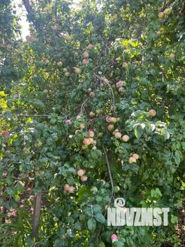 Дом 53м², 1-этажный, участок 5 сот.