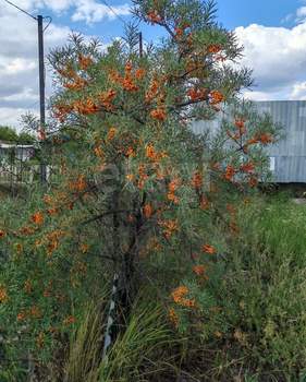 Дом 36м², 2-этажный, участок 6 сот.