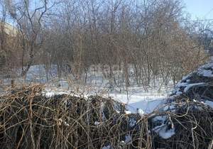 Дом 33м², 1-этажный, участок 6 сот.