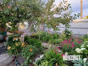 Дом 63м², 1-этажный, участок 5 сот.