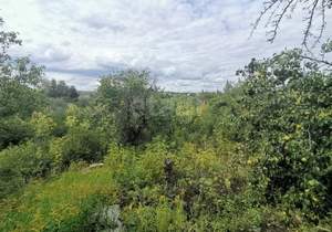 Дом 39м², 2-этажный, участок 9 сот.