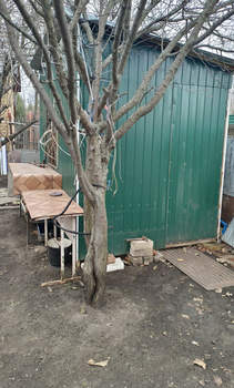 Дом 29м², 1-этажный, участок 8 сот.