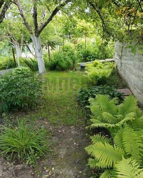 Дом 40м², 1-этажный, участок 0 сот.