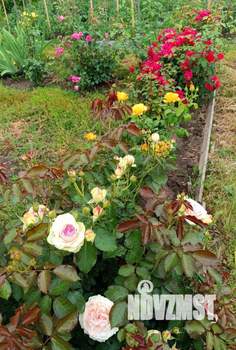 Дом 18м², 1-этажный, участок 6 сот.