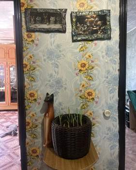 Дом 62м², 1-этажный, участок 10 сот.