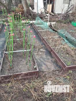 Дом 10м², 1-этажный, участок 3 сот.