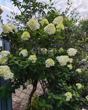 Дом 50м², 2-этажный, участок 4 сот.