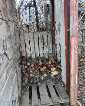 Дом 37м², 2-этажный, участок 6 сот.