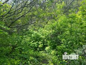 Дом 22м², 1-этажный, участок 5 сот.