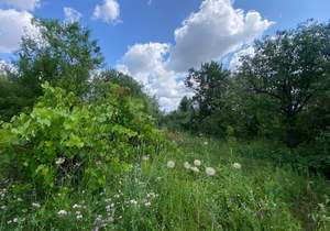 Дача 34м², 2-этажный, участок 6 сот.