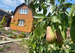 Дом 60м², 2-этажный, участок 5 сот.