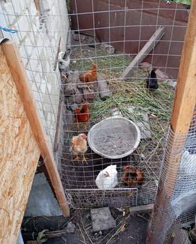 Дом 36м², 1-этажный, участок 3 сот.