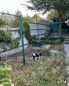 Дом 70м², 1-этажный, участок 3 сот.