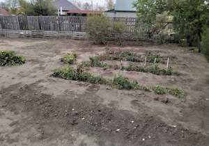 Дом 35м², 2-этажный, участок 8 сот.