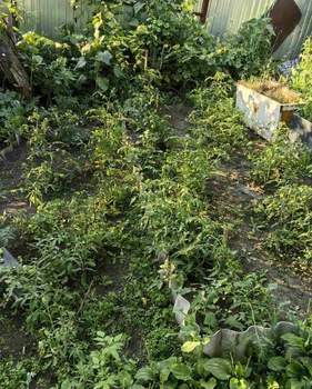 Дом 20м², 1-этажный, участок 6 сот.