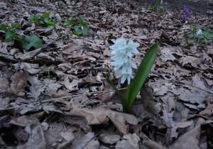 Дом 30м², 1-этажный, участок 6 сот.