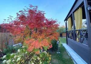 Дом 89м², 2-этажный, участок 5 сот.