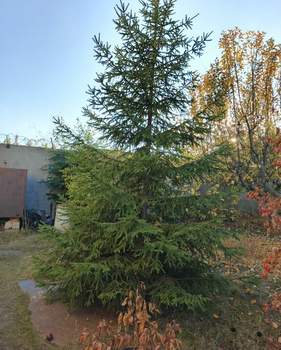 Дом 88м², 2-этажный, участок 11 сот.