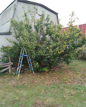 Дом 70м², 2-этажный, участок 8 сот.