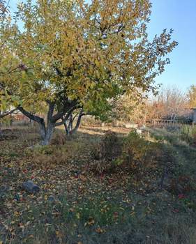 Дом 88м², 2-этажный, участок 11 сот.