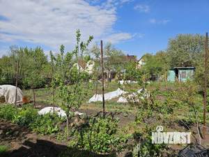 Дом 20м², 1-этажный, участок 8 сот.