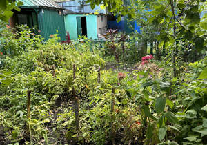 Дом 70м², 1-этажный, участок 3 сот.