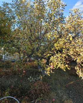 Дом 88м², 2-этажный, участок 11 сот.