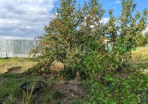 Дом 36м², 2-этажный, участок 6 сот.